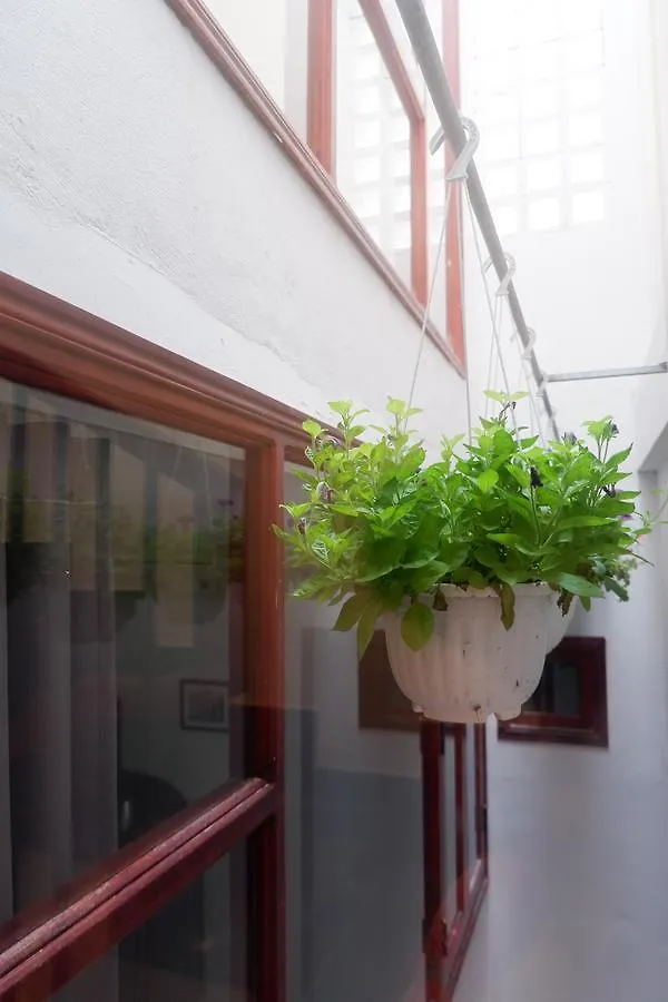 Privat bolig White Lion House Lejlighed Hoi An Vietnam