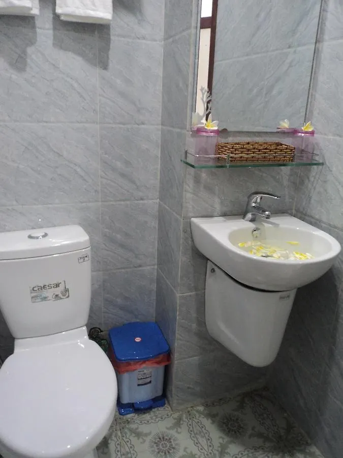 White Lion House Apartment Hoi An
