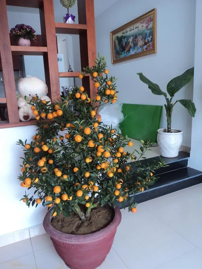 White Lion House Apartment Hoi An