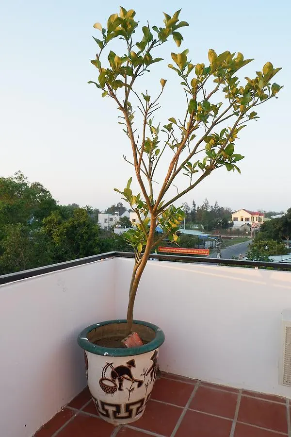 White Lion House Apartment Hoi An 0*,  Vietnam