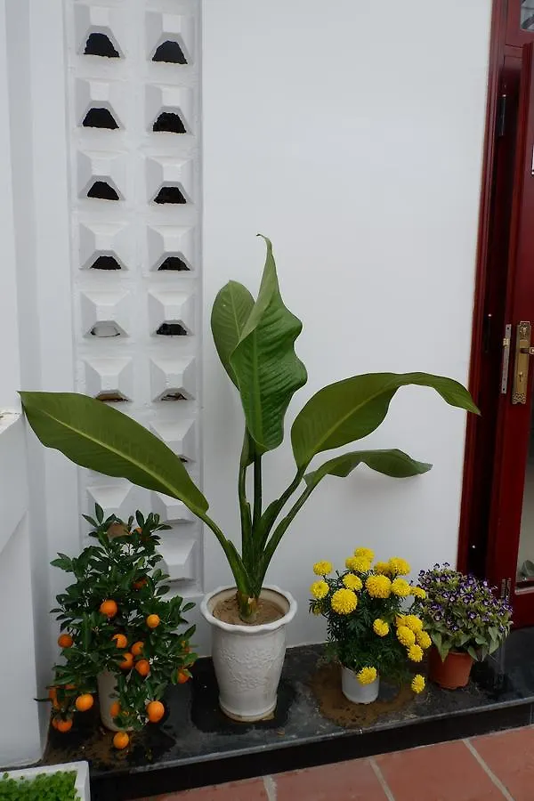 White Lion House Apartment Hoi An