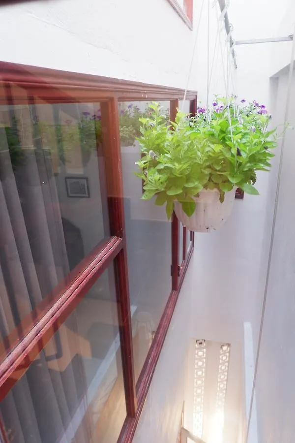 Homestay White Lion House Apartment Hoi An
