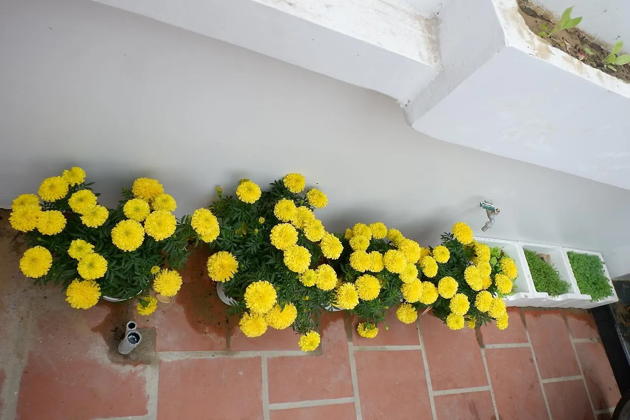 White Lion House Apartment Hoi An Vietnam