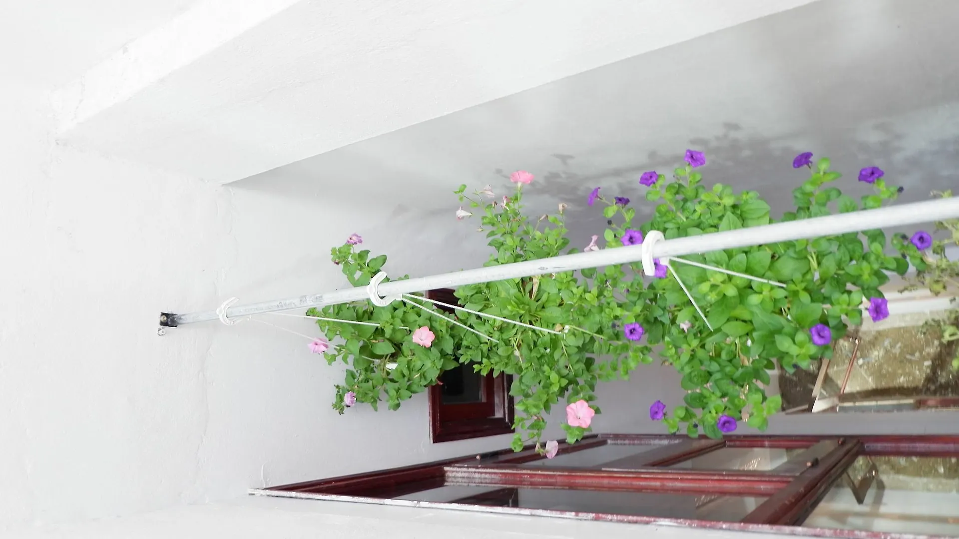 Homestay White Lion House Apartment Hoi An