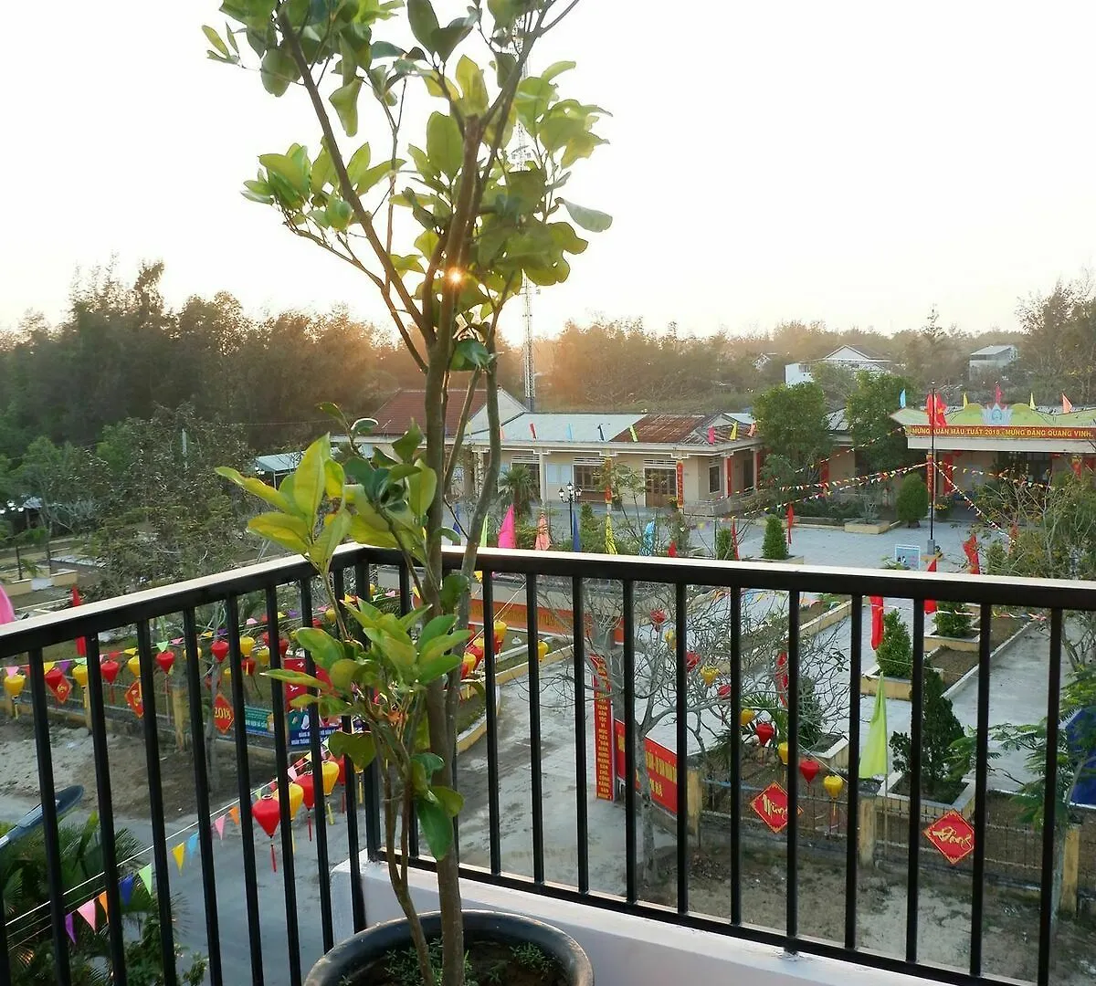 White Lion House Apartment Hoi An Homestay