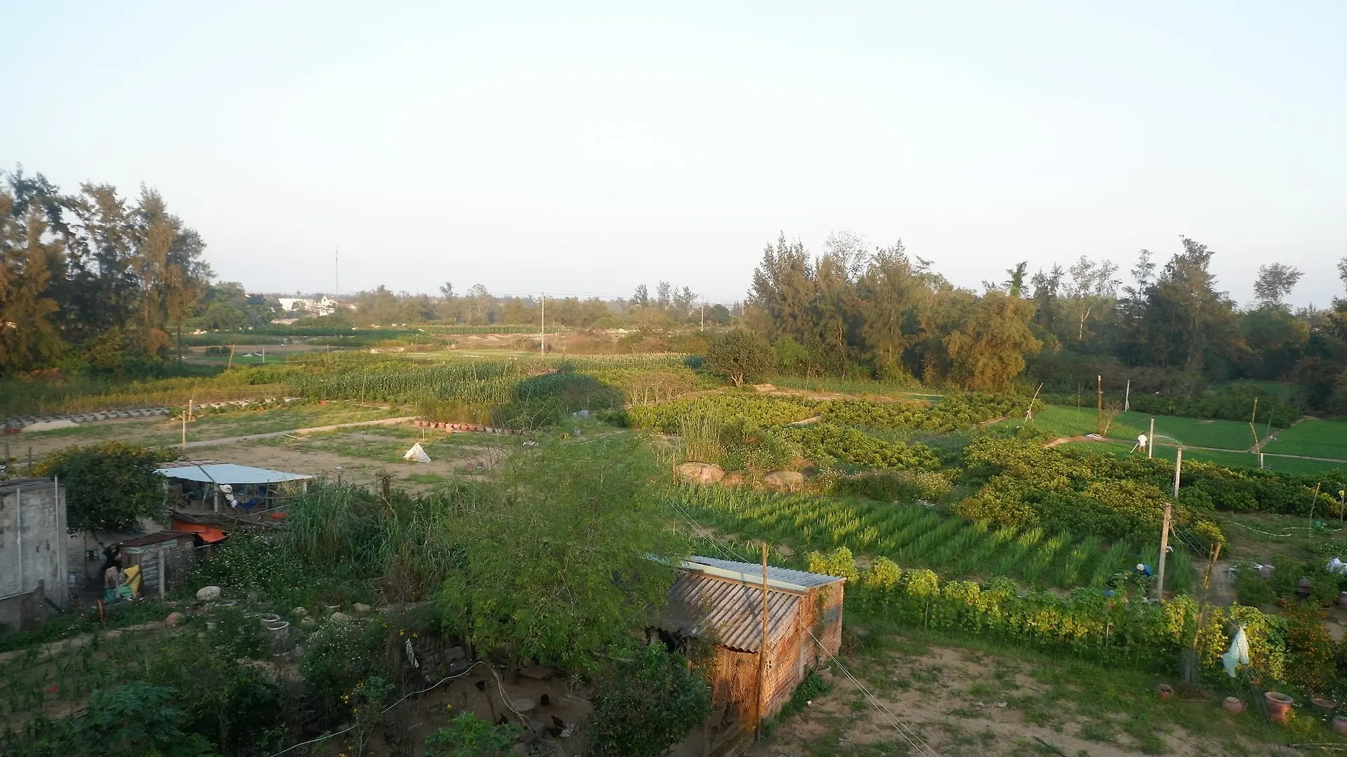 Homestay White Lion House Apartment Hoi An Vietnam